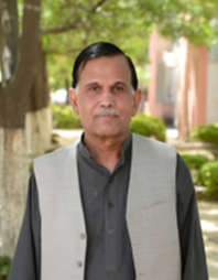Prof. Amanullah Khan
