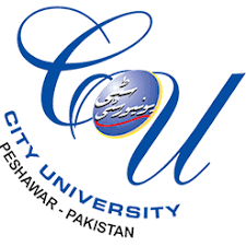 City-University-SIT